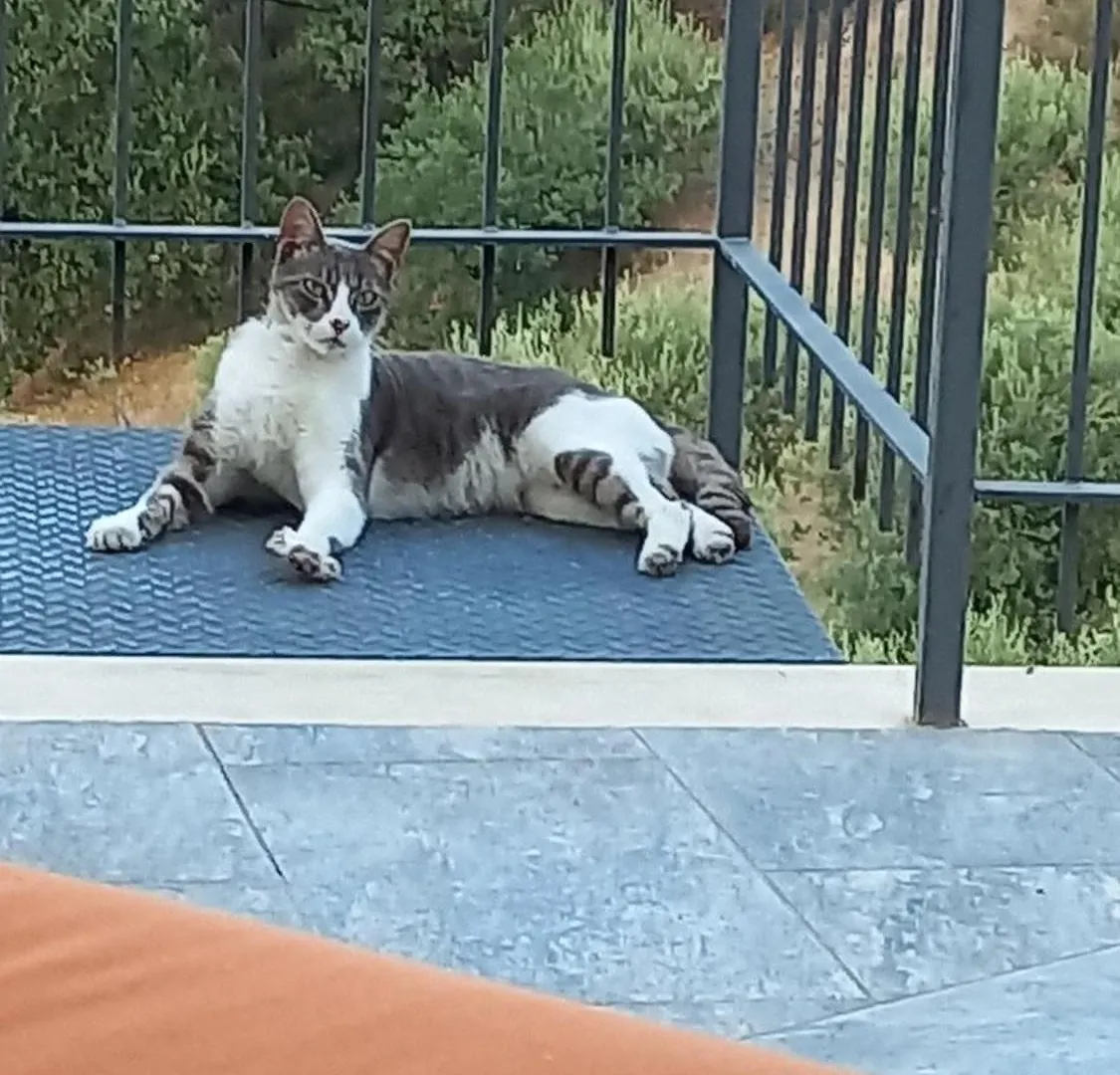 Apartman Villa Victoria, Taormina Olaszország